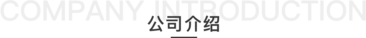 公司介绍
