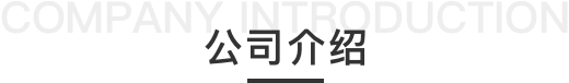公司介绍